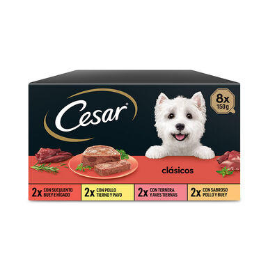 Cesar Clássicos terrina para cães – Pack 8